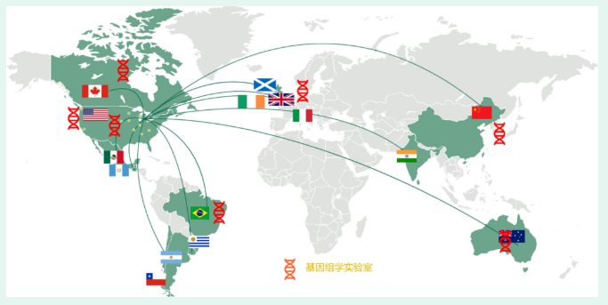 祝賀！紐勤全球第七個基因檢測實驗室正式落成并投入使用！